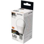   ENTAC LED kis gömb izzó E14 6,5W 4000K természetes fehér 560 lumen